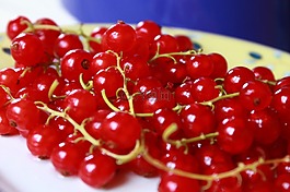 葡萄干,水果,紅色