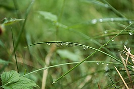 水,一滴水,滴