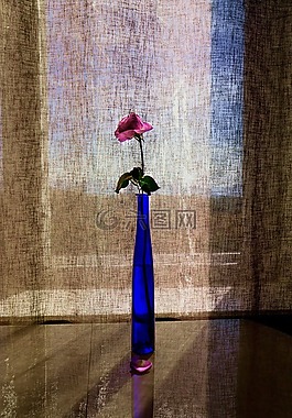 玫瑰,花束,花瓶
