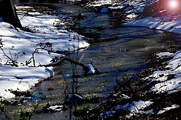 自然,水,雪