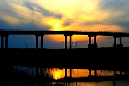 橋,日落,水
