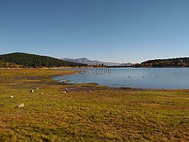 沼泽,jarosa,湖