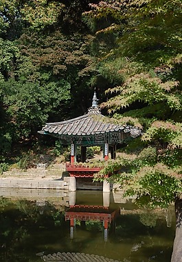昌德宮,宮,花園