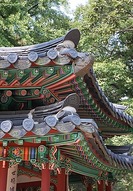 昌德宮,宮,花園