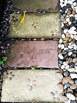 走道,走,方式