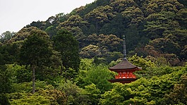 京都,風景,寺廟