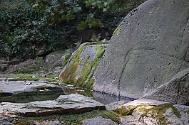 昌德宮,宮,花園