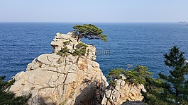 看看,海,日出