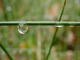 雨滴,一滴水,滴