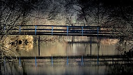 橋,景觀,公園