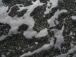 海,泡沫,石頭