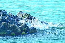 水,海,海洋