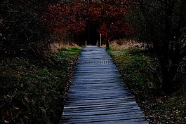木制軌道,離,棧道
