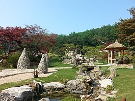 植物園,大自然,景觀