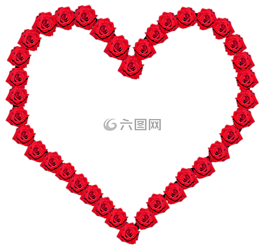 幀,玫瑰,情人節(jié)