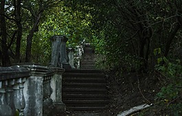 體系結(jié)構(gòu),梯子,春天