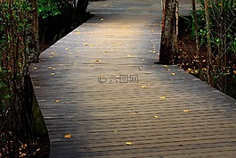 橋,路徑,通道