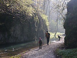 徒步旅行,兒童,施瓦本白蛋白