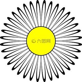 黛西,花卉,飾品