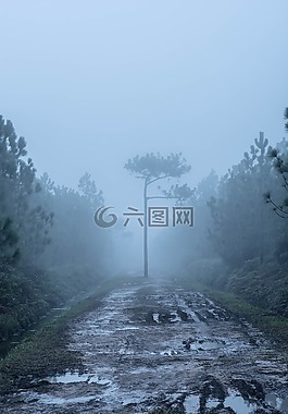 霧,性質(zhì),瀑布
