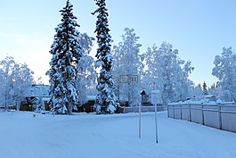 雪,白,冷
