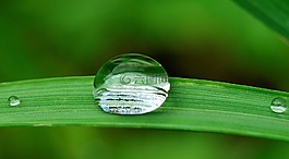 拖放,水,草