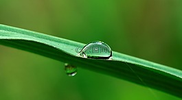 水,拖放,草