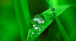 水,拖放,草