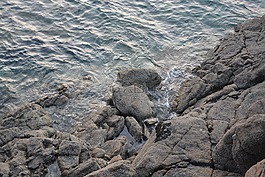 巖,海,海灘