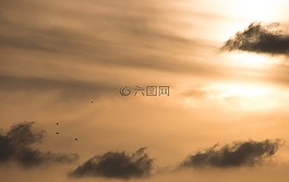 日落,天空,自然