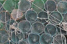 網(wǎng)絡(luò),魚,捕魚