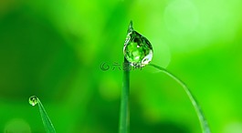 水,拖放,草