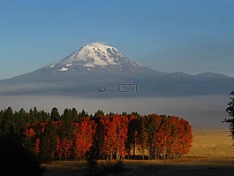 山,葉子,景觀