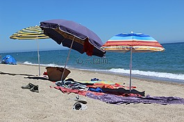 海灘,海,梧桐