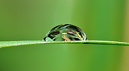 拖放,水,草