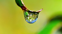 拖放,水,草
