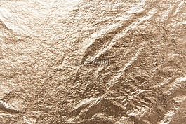 普拉特金,結(jié)構(gòu),基金