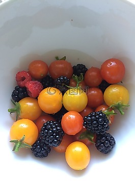 番茄,漿果,收獲