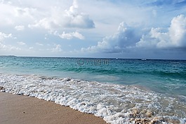 背景,海灘,美麗