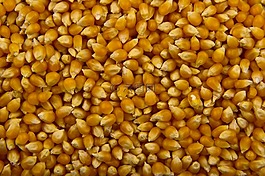 食品,爆米花,橙色