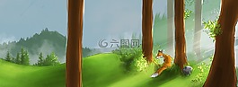 森林,狐貍,耐心