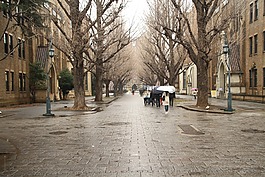 東京大學(xué),歷史,日本