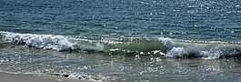 海,水,波