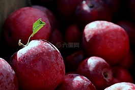 蘋果,紅蘋果,水果