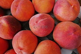 桃子,夏天,甜