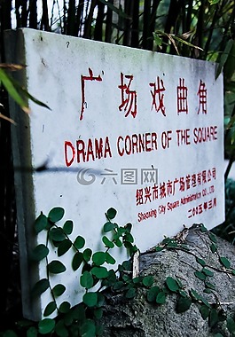 綠葉,石頭,廣場(chǎng)