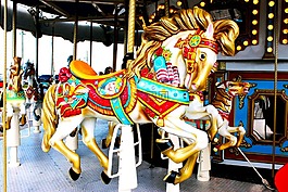 旋轉(zhuǎn)木馬,馬,娛樂
