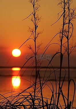 反思,太陽,晚上