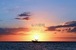日落,水,墨西哥海灣