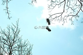 靴子,天堂,树